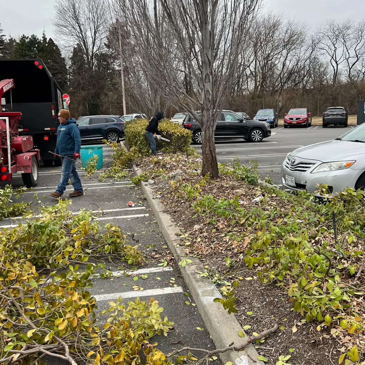 Crew performing scheduled tree maintenance on a commercial property parking lot