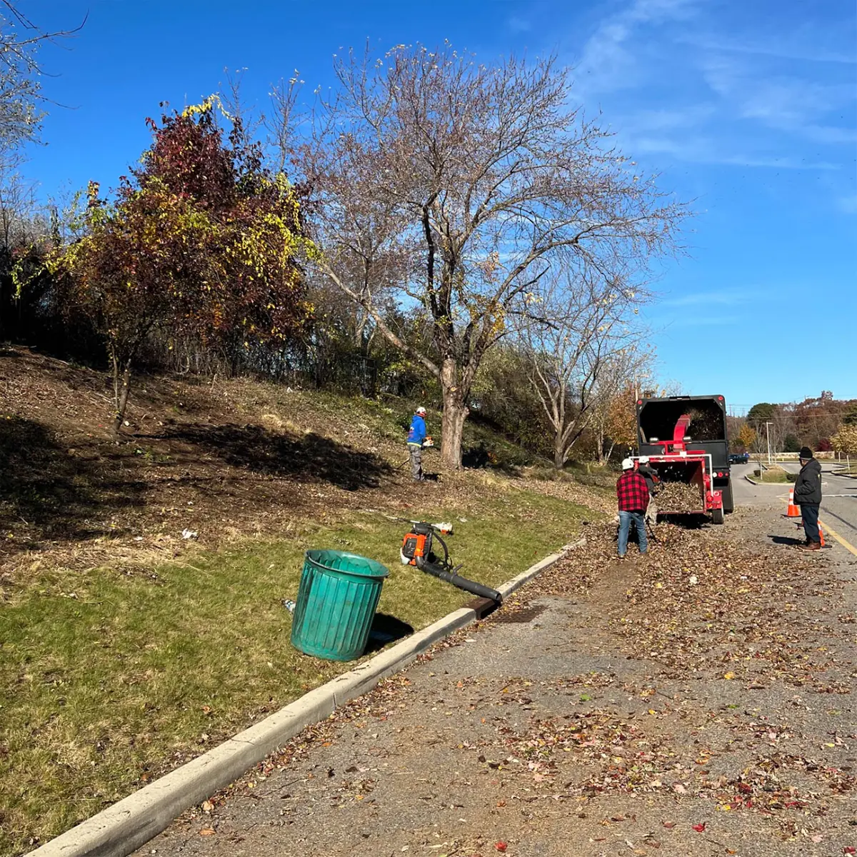 Arborist pruning a mature tree canopy on a Long Island property