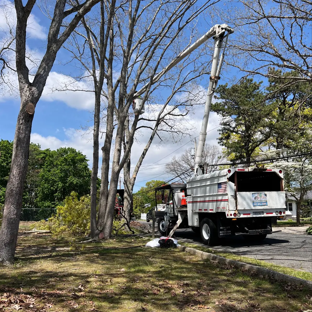 Crew responding to a storm-downed tree on a Long Island property